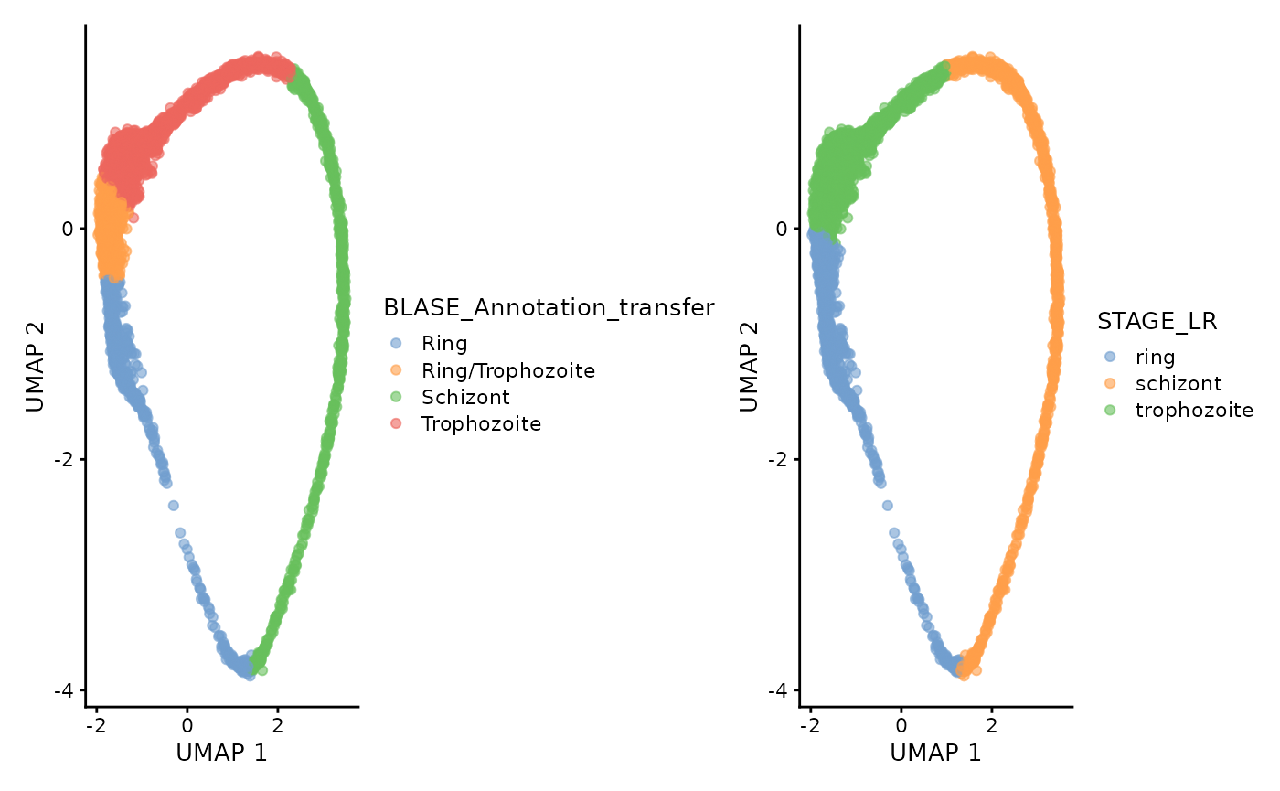 UMAP of Dogga et al. single-cell RNA-seq reference coloured the original mappings from Dogga et al. and by best matching bulk RNA-seq sample, and then named by the expected cell type ( from annotations in Painter et al.). The mappings are broadly the same.